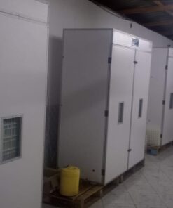 3000 Eggs Incubator Multifunction