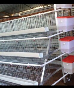 H-Type Cage · 128 Birds (limited area)
