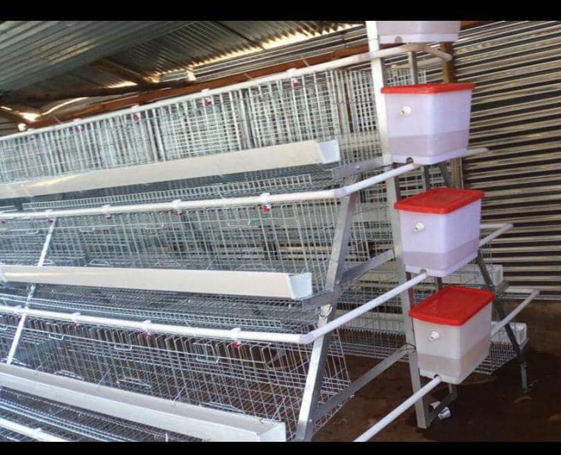 Layer Bird Cage · Galvanized
