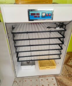 880 Eggs Incubator Double function