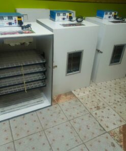 Cabinet type 264 eggs incubator ac/ DC